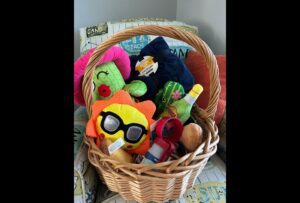 Raffle basket of dog items