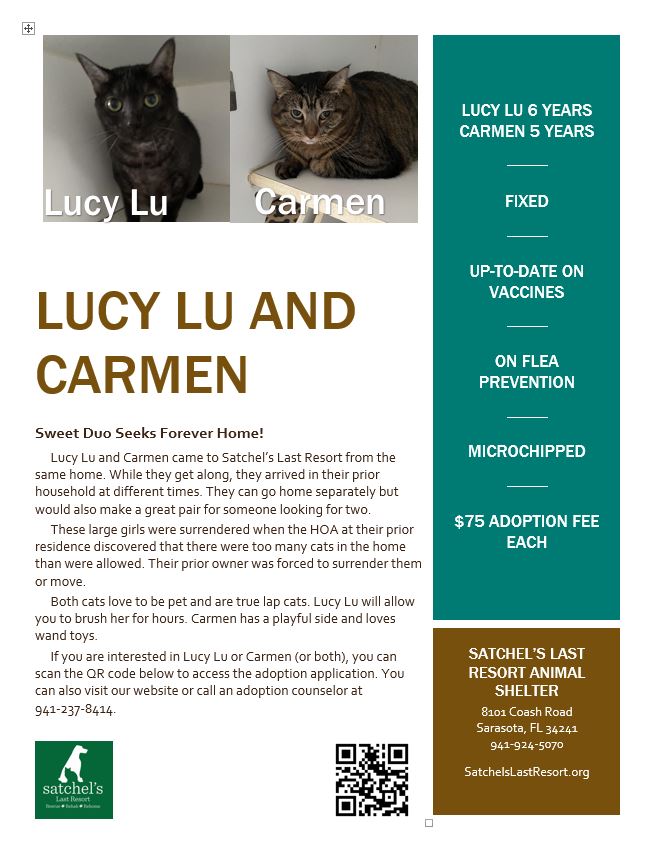 Flyer for Lucy Lu and Carmen