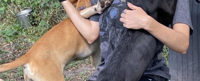 2 of the puppies showing a Satchel's volunteer some love.