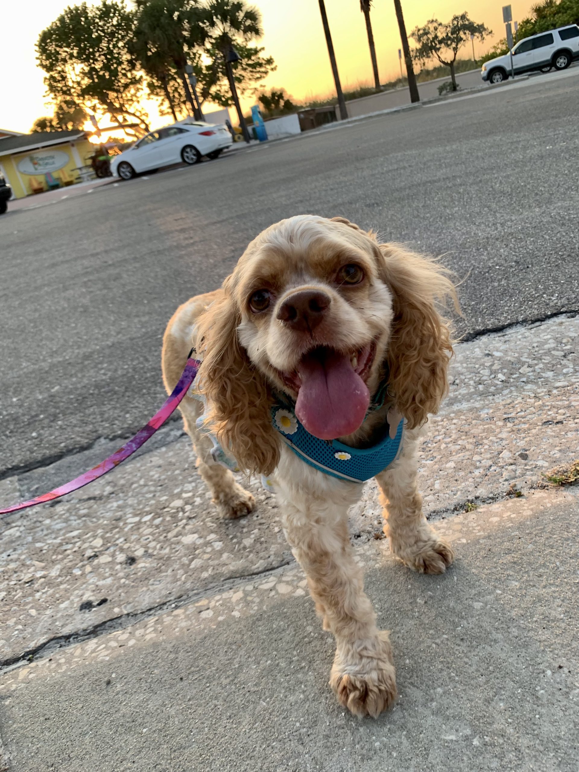 Suzie outside all smiles.