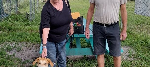 Elton sitting infront of his new mom, dad beside, outside Satchel's.