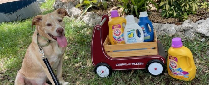 Bernie sitting with a wagon displaying laundry detergent.