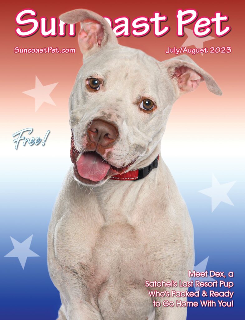 Suncoast Pet cover picture of Dex.