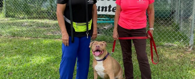 Amelia and Lisa standing with Watson sitting in the middle.