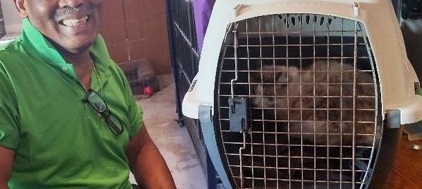 Zara in her crate, new dad sitting beside her.