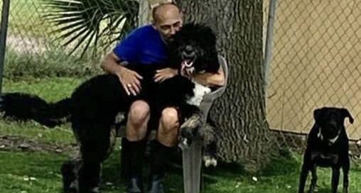 Bear on papa's lap.