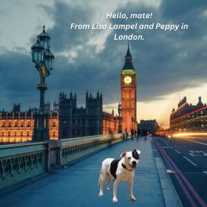 Peppy in London.