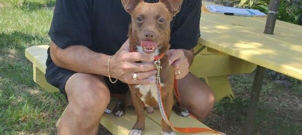 Rocco sitting on a picnic at Satchel's with his new dad.