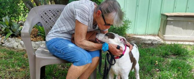 Sadie kissing her new mom who is sitting in a chair outside Satchel's.