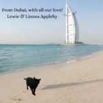 Armchair Vacations Postcard from Lewie in Dubai!