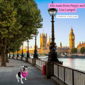 Peppy in London