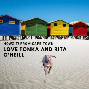 Tonka with Rita in Cape Town