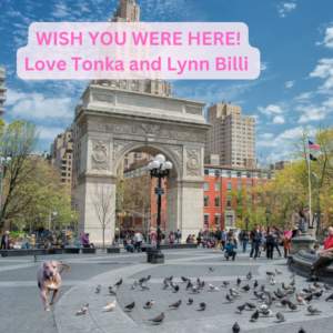 Picture of Tonka in New York with Lynn.
