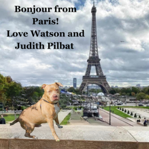 Postcard from Watson in Paris.