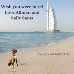 Allman in Dubai with Sally.