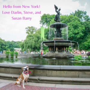 Postcard from Darlin in New York!