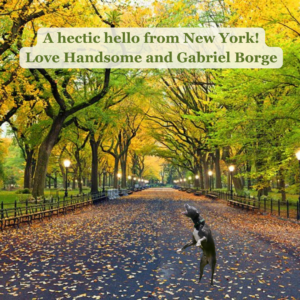 Postcard from Handsome in New York!