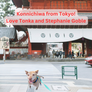 Postcard from Tonka in Tokyo!