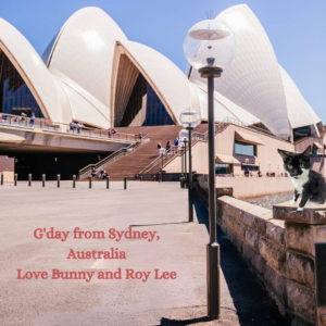Postcard from Bunny in Sydney!