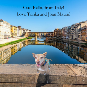 Postcard from Tonka in Italy