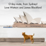 Postcard from Watson in Sydney!