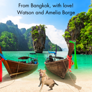 Armchair Vacations Postcard from Watson in Bangkok!