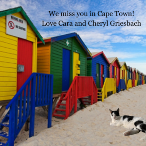 Armchair Vacations Postcard from Cara in Cape Town!