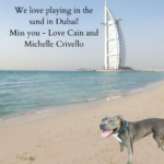 Armchair Vacations Postcard from Cain in Dubai!