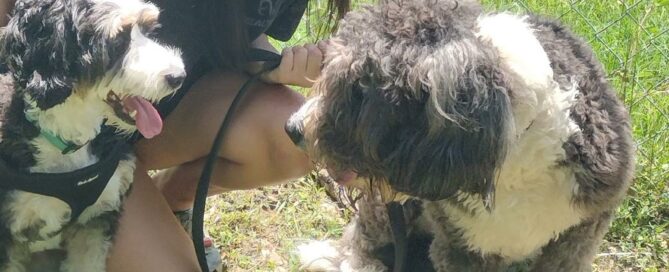 Maggie outside Satchel's standing beside her canine sibling, both in front of her new mom.