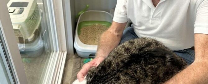 Rues on the lap of his new dad in the adoption room at PSP.