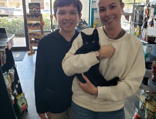 Congratulations to Oscar and his new family!!