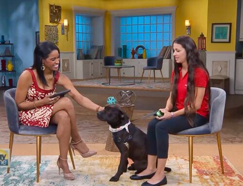 Executive Director, Michal Anne Vander Woude, and Jake on WFLA Tampa’s “Daytime” Show