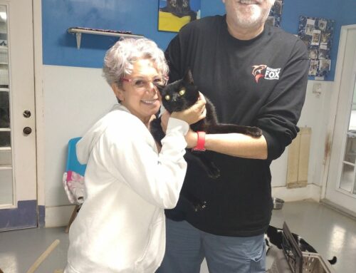 Congratulations to Steve and his new family!
