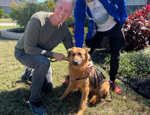 A New Family For Kassi