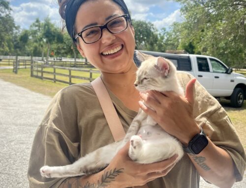 A Bliss-Ful New Life!