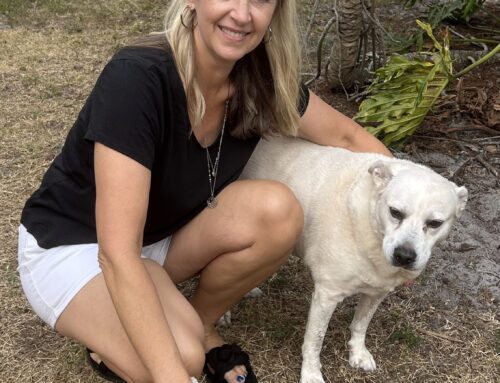 From Fostered to Adopted, Corey’s New Life